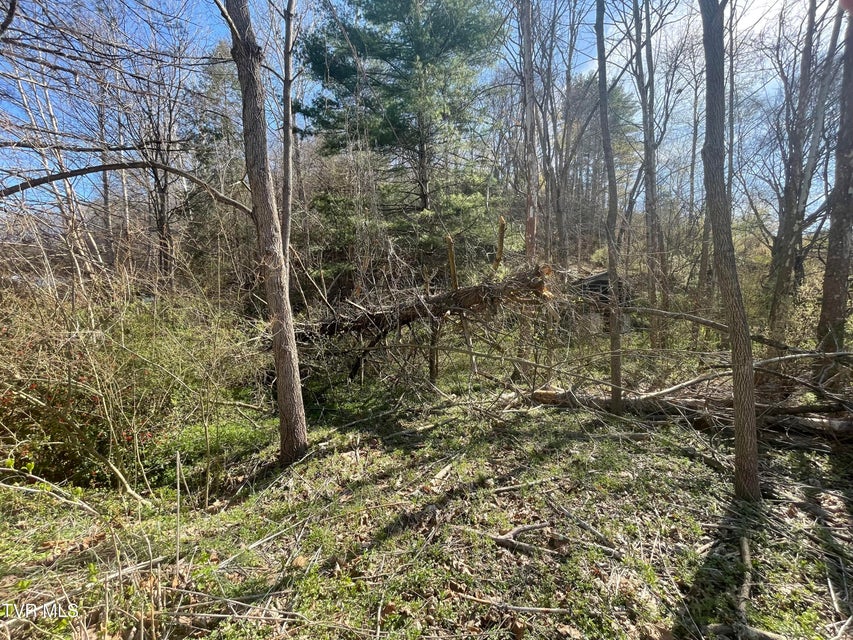 Photo #9: Tbd Drill Road