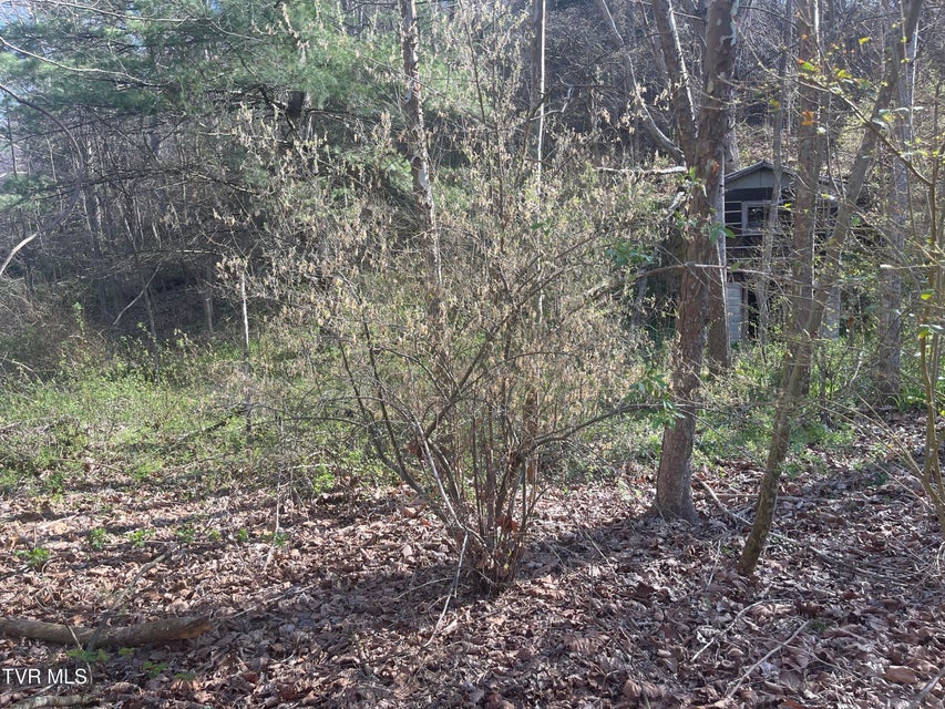 Photo #10: Tbd Drill Road