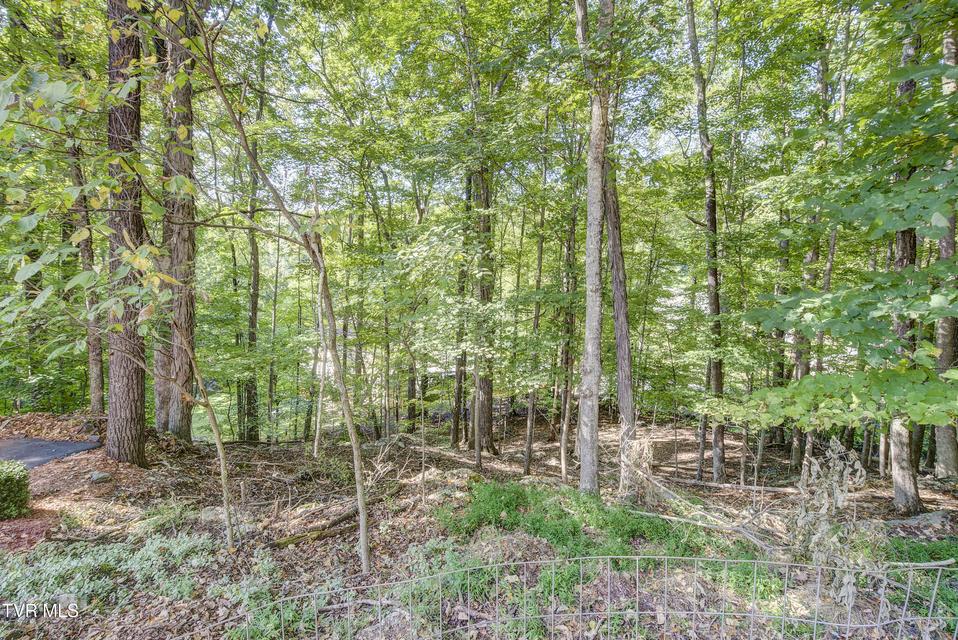 Photo #66: 144 Blue Bird Drive