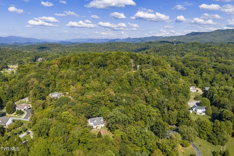 Photo #79: 144 Blue Bird Drive