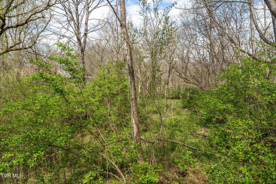 Photo #40: 1663 Bristol Caverns Highway