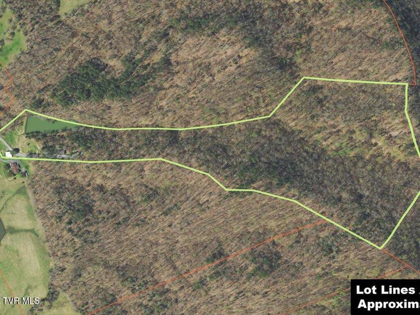 Photo #5: 434 Henry Clark Lane