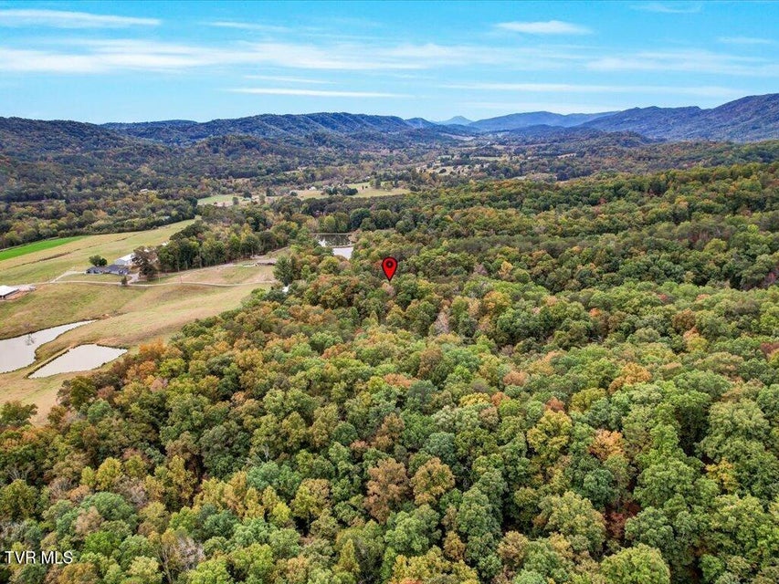 Photo #32: 434 Henry Clark Lane