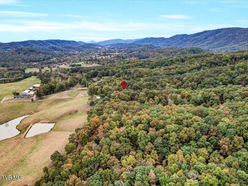 Photo #33: 434 Henry Clark Lane