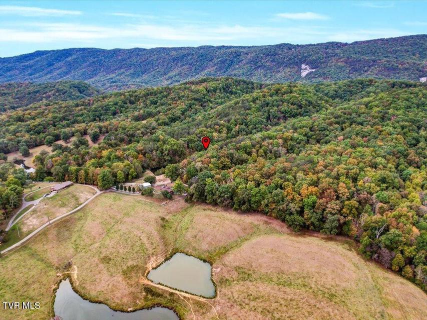 Photo #34: 434 Henry Clark Lane