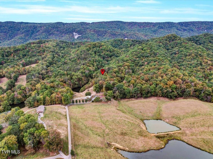 Photo #35: 434 Henry Clark Lane