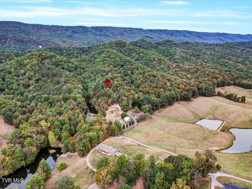 Photo #36: 434 Henry Clark Lane