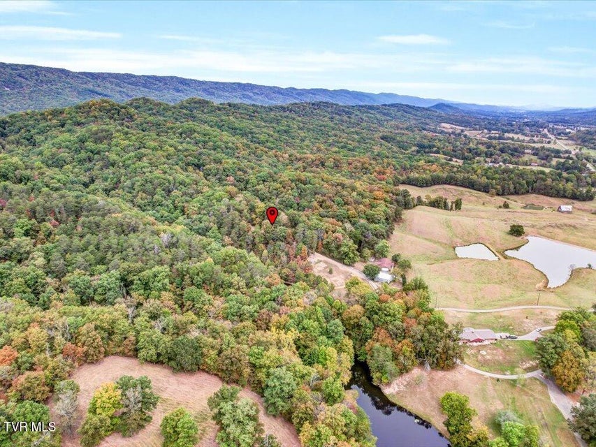 Photo #37: 434 Henry Clark Lane