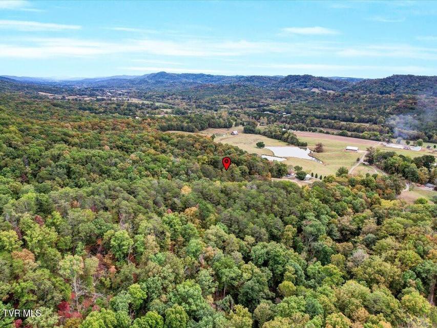 Photo #38: 434 Henry Clark Lane