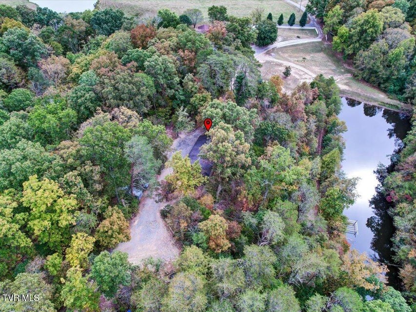 Photo #39: 434 Henry Clark Lane