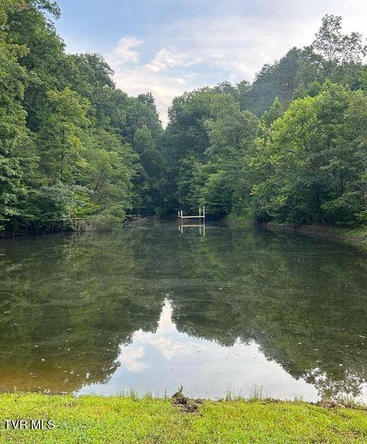 Photo #46: 434 Henry Clark Lane