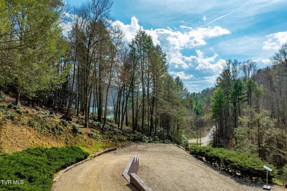 Photo #8: 244 Bill Branch Lane