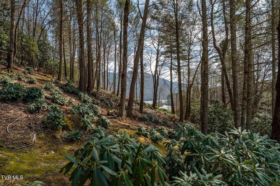 Photo #55: 244 Bill Branch Lane