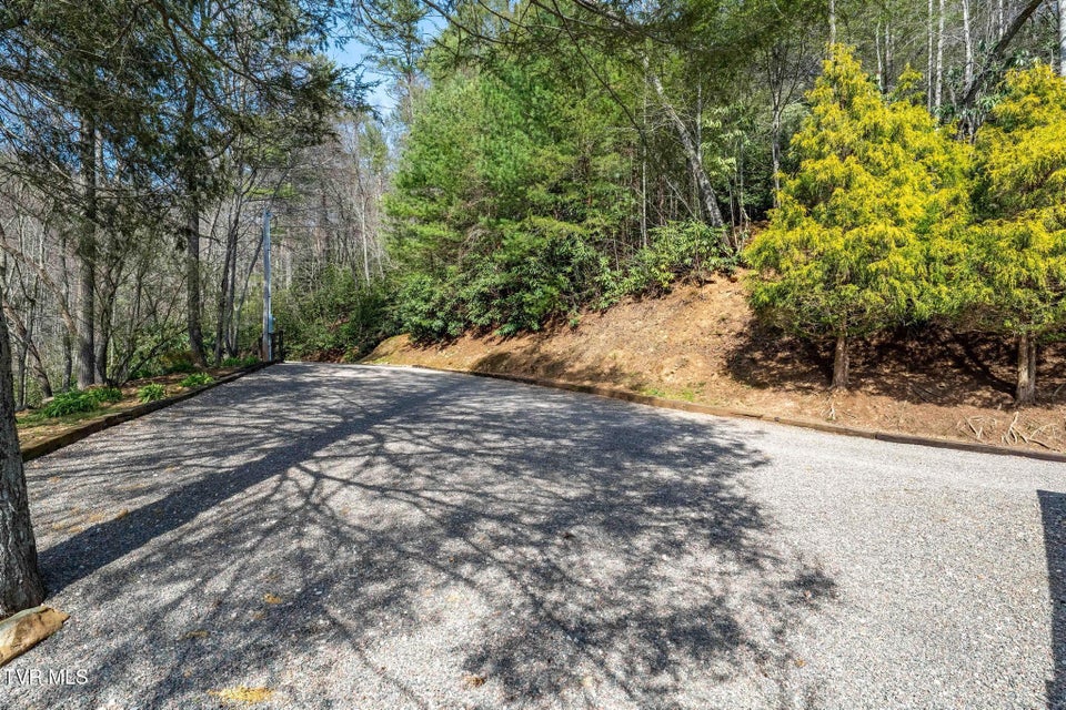 Photo #58: 244 Bill Branch Lane