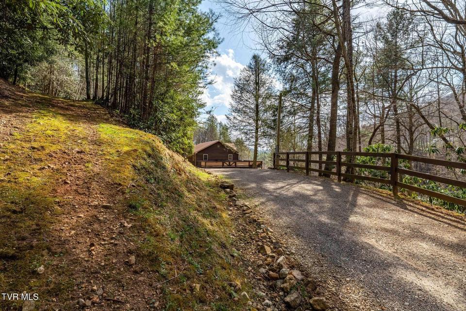 Photo #62: 244 Bill Branch Lane