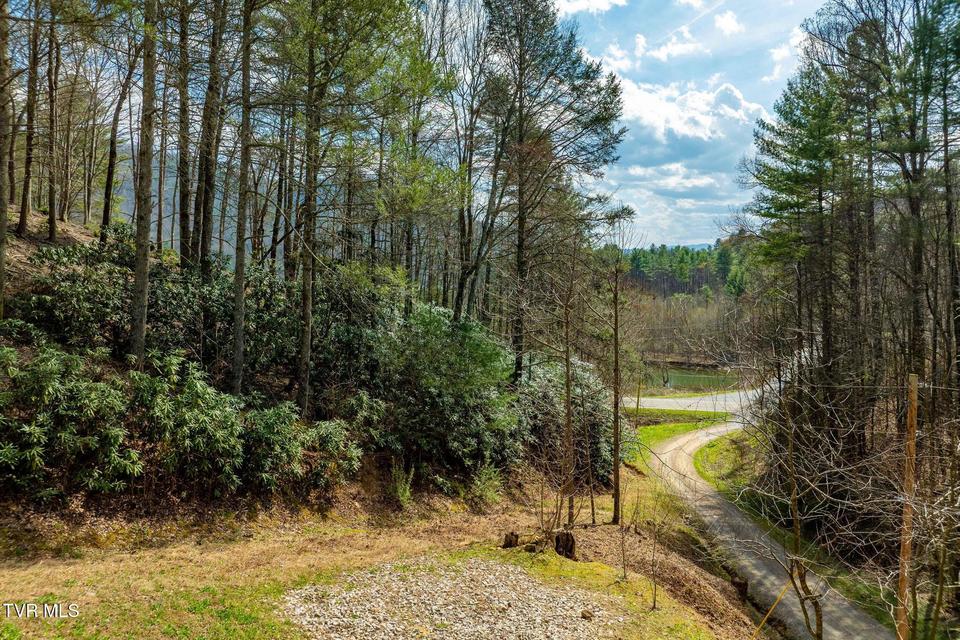 Photo #63: 244 Bill Branch Lane