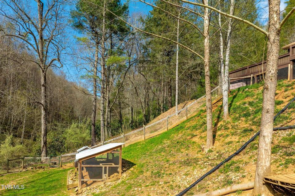 Photo #67: 244 Bill Branch Lane