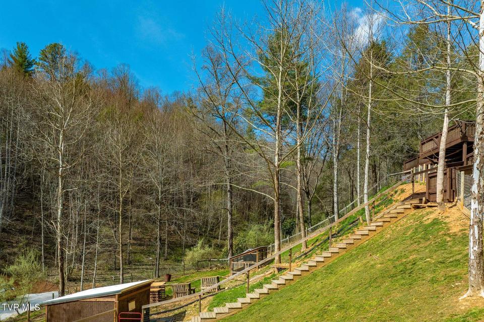 Photo #68: 244 Bill Branch Lane