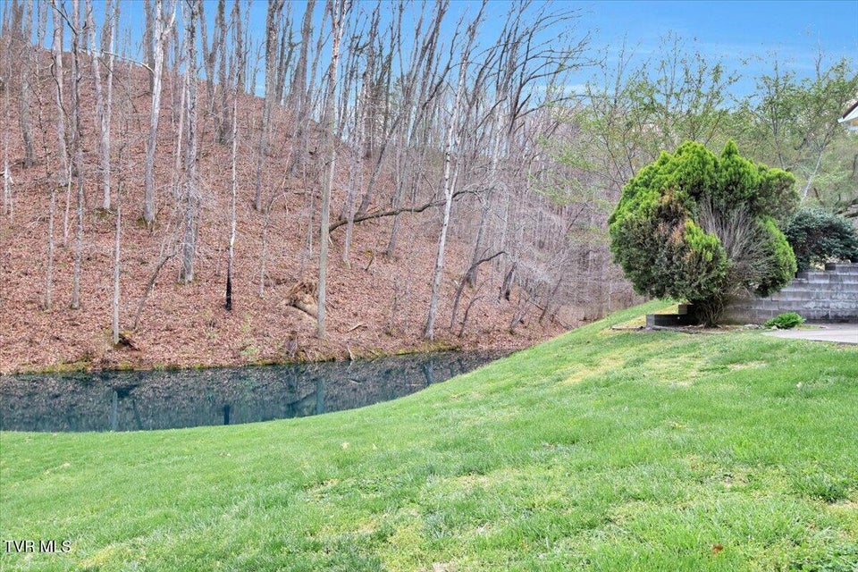 Photo #34: 1296 Mountain View Road