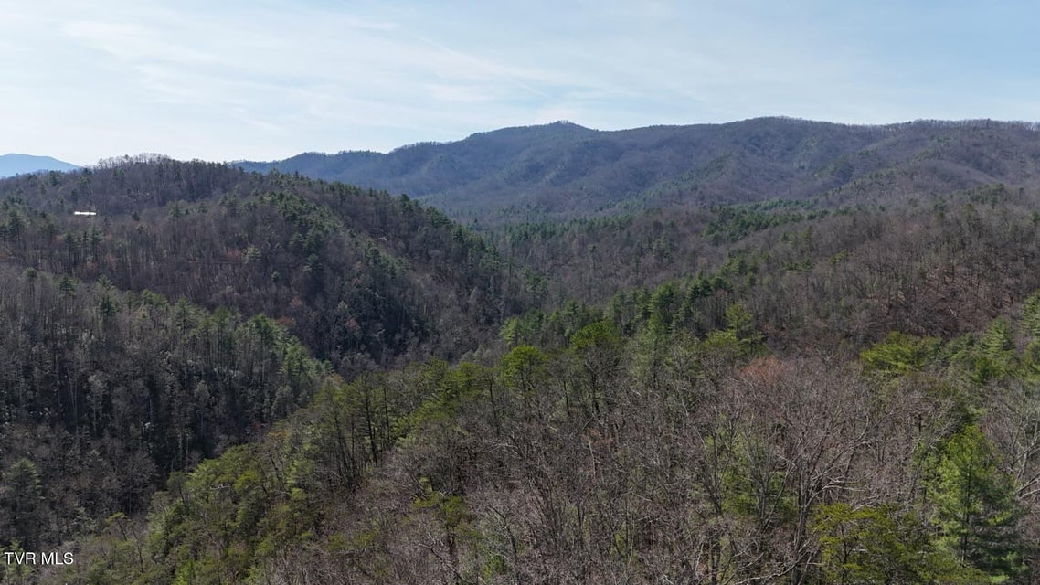 Photo #14: 1770 Old 15th Road