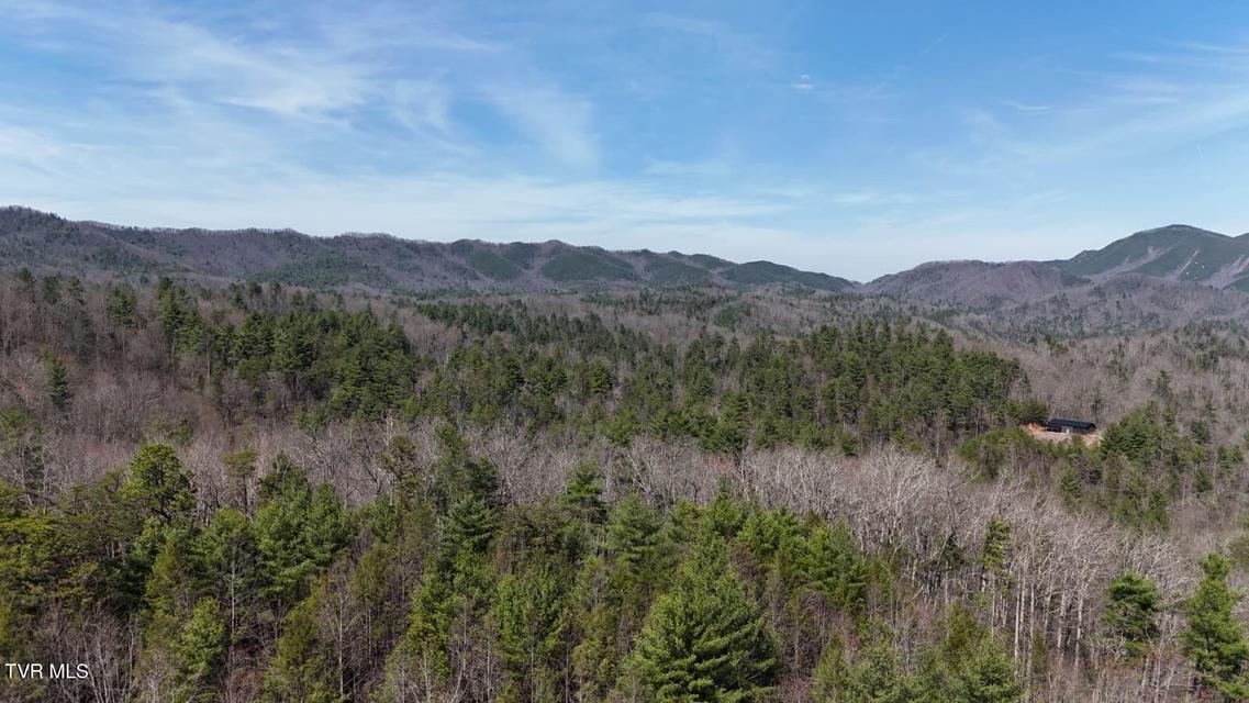 Photo #16: 1770 Old 15th Road