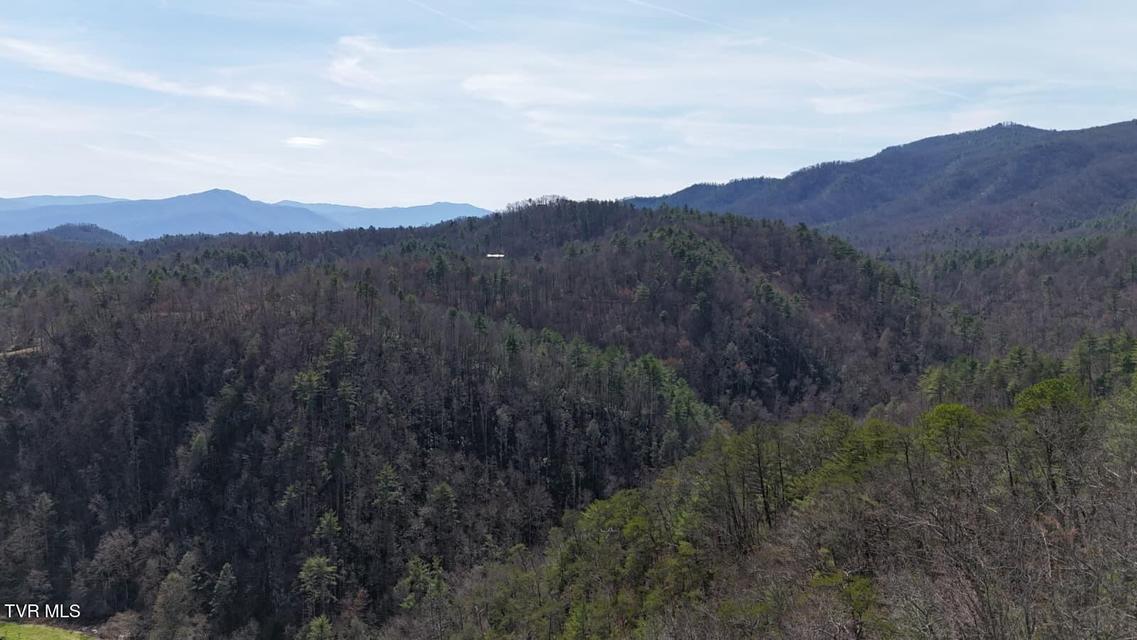 Photo #22: 1770 Old 15th Road