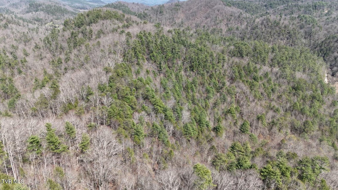 Photo #24: 1770 Old 15th Road