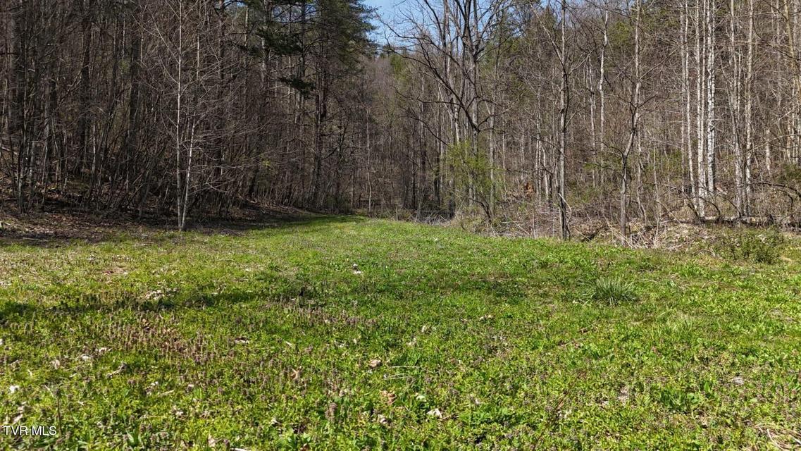 Photo #6: 1770 Old 15th Road