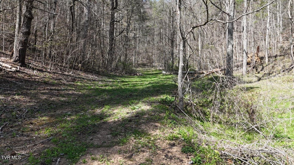 Photo #10: 1770 Old 15th Road