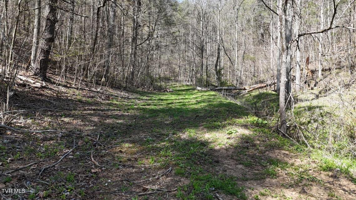 Photo #11: 1770 Old 15th Road