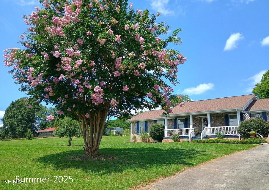 Photo #46: 445 Old Stage Road