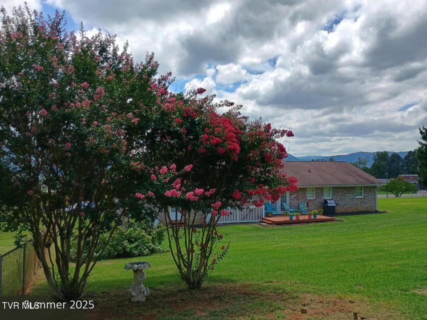 Photo #48: 445 Old Stage Road