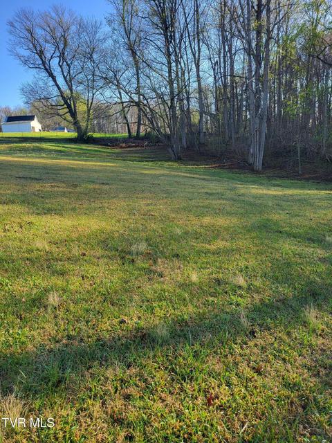 Photo #7: 176 Hallborough Drive