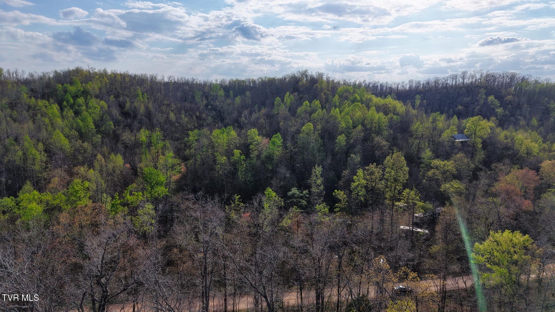 Photo #14: 14579 Crooked Creek Road