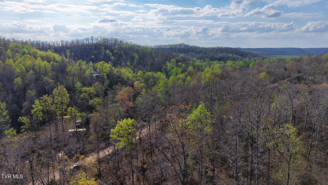 Photo #15: 14579 Crooked Creek Road