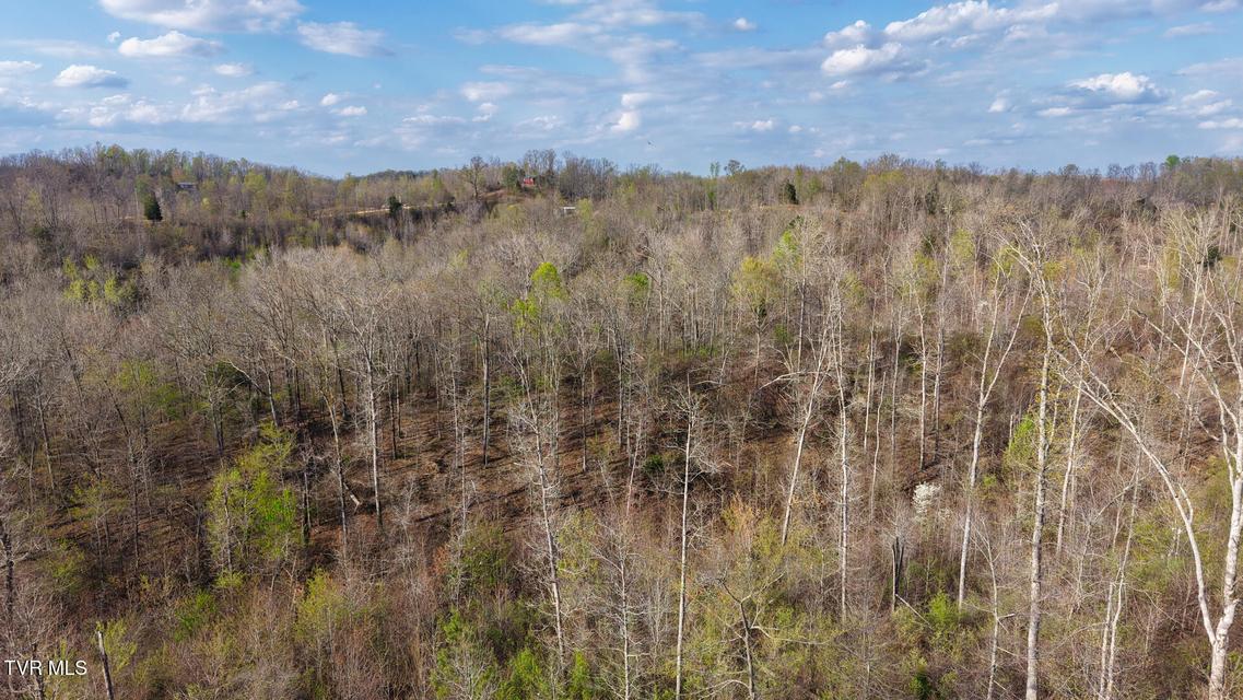 Photo #16: 14579 Crooked Creek Road