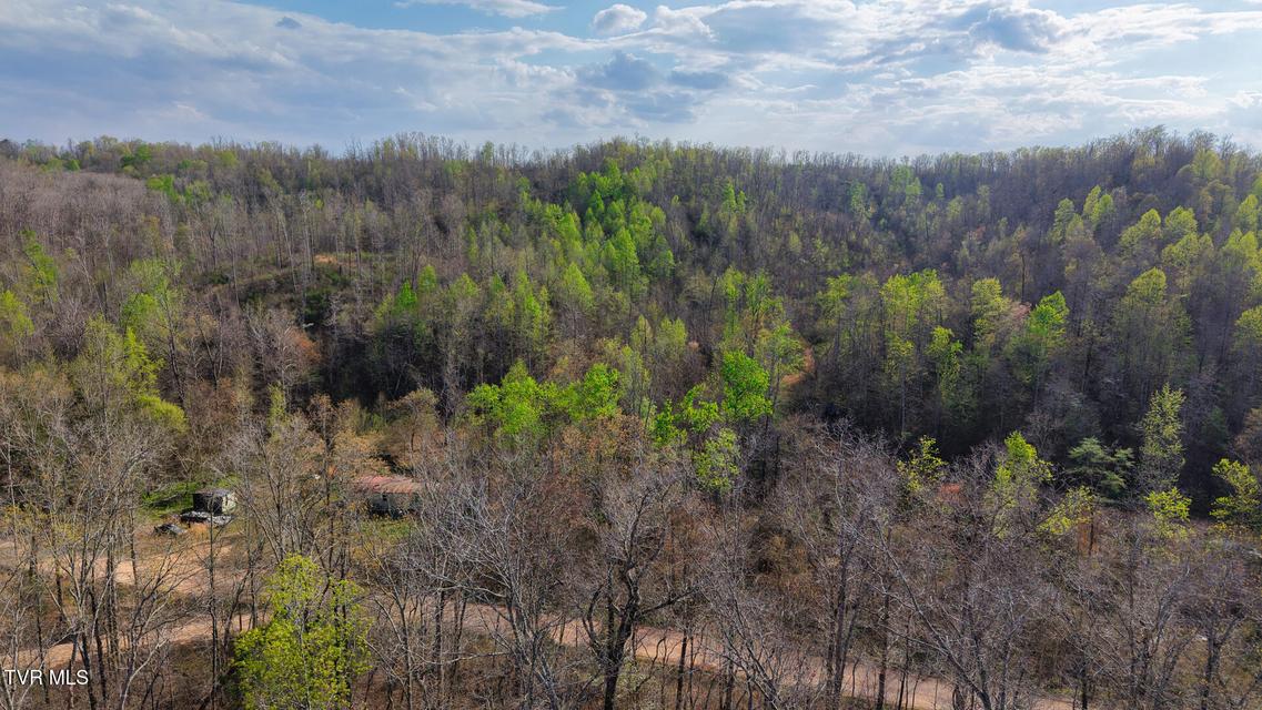 Photo #17: 14579 Crooked Creek Road