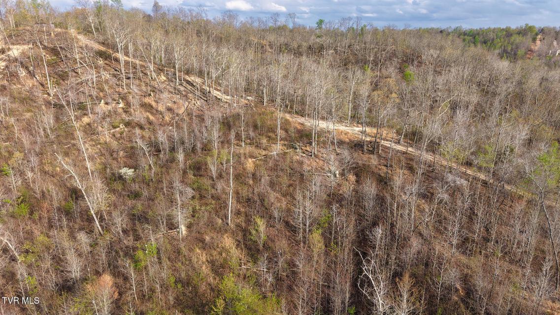 Photo #19: 14579 Crooked Creek Road