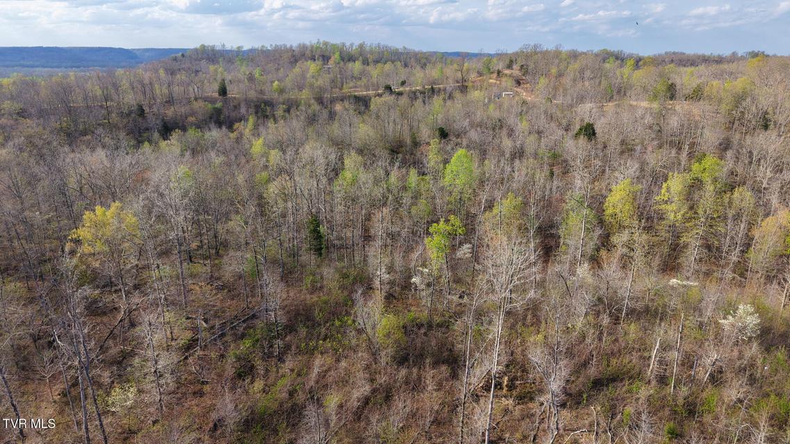 Photo #20: 14579 Crooked Creek Road