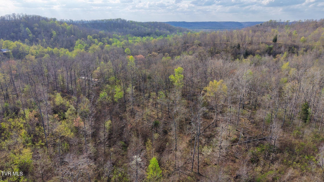 Photo #21: 14579 Crooked Creek Road