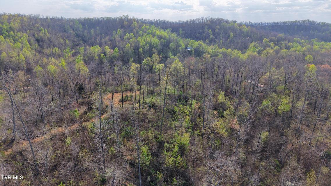 Photo #22: 14579 Crooked Creek Road