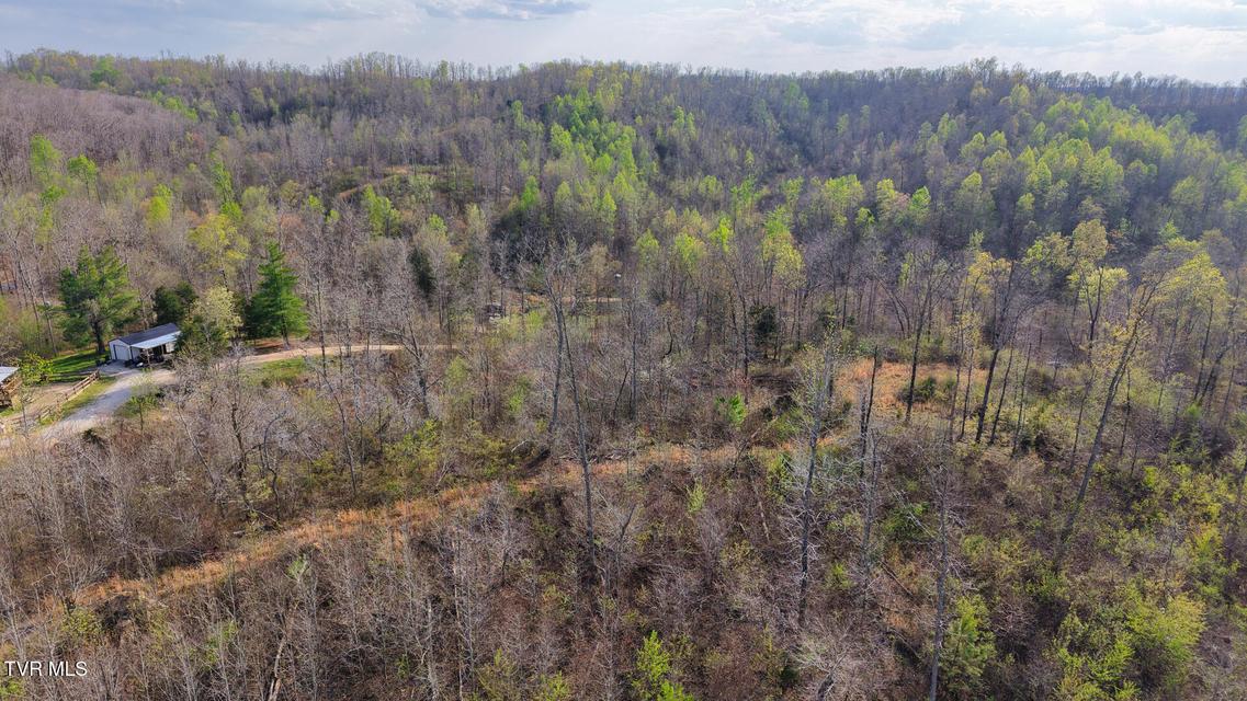 Photo #23: 14579 Crooked Creek Road