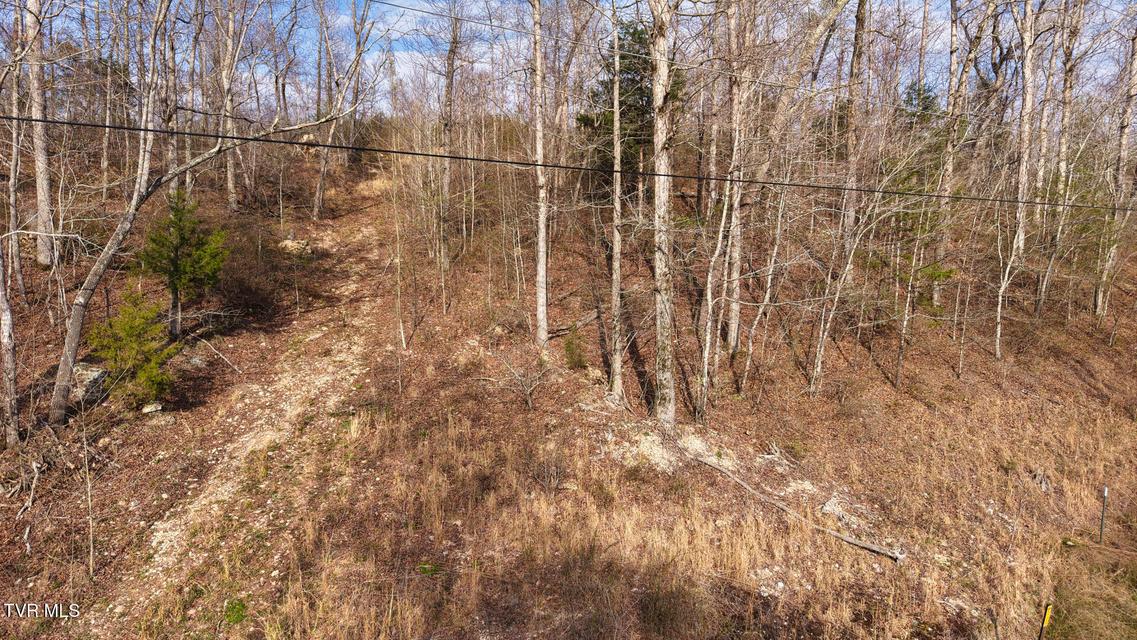 Photo #24: 14579 Crooked Creek Road