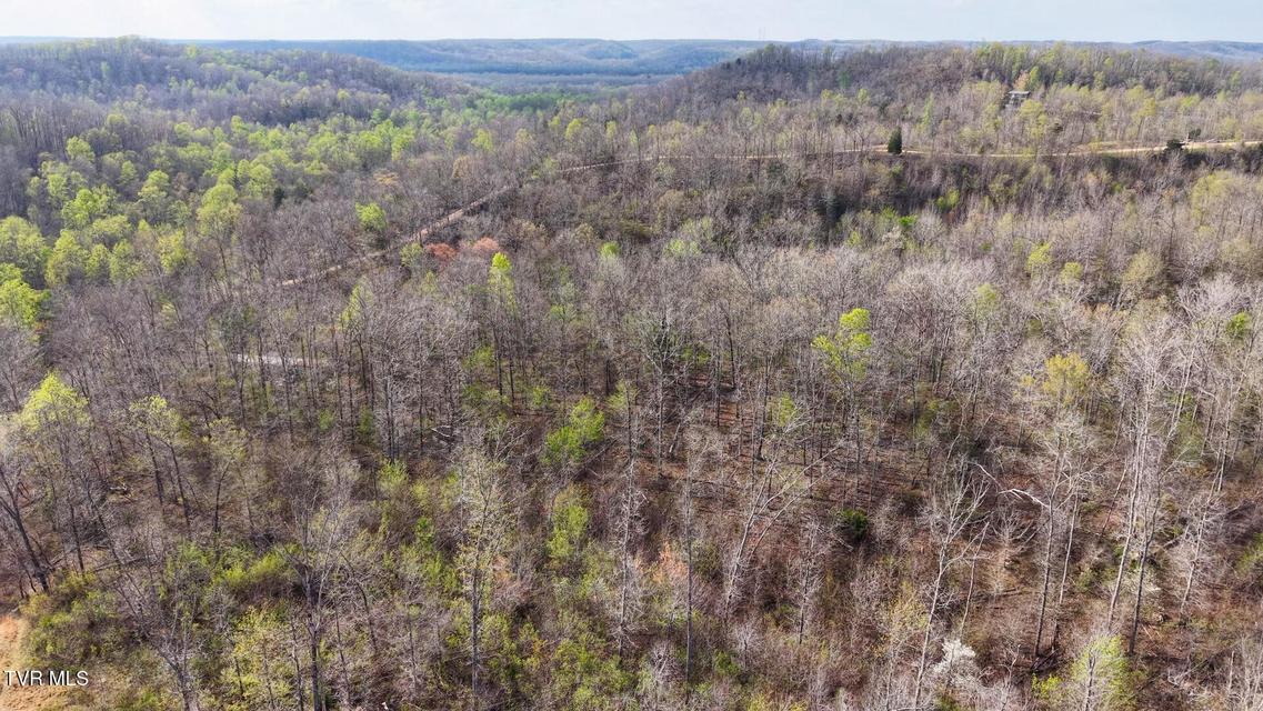 Photo #28: 14579 Crooked Creek Road