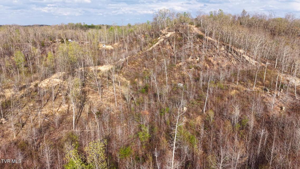 Photo #29: 14579 Crooked Creek Road