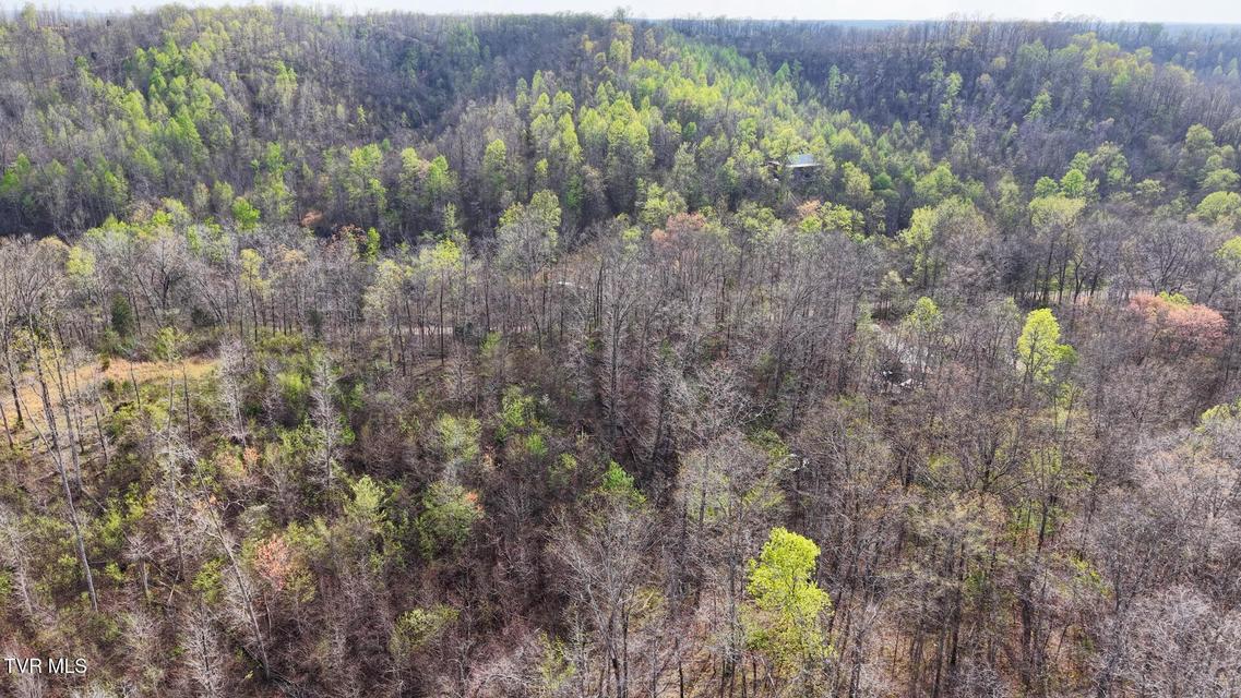 Photo #31: 14579 Crooked Creek Road