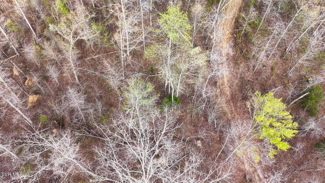 Photo #33: 14579 Crooked Creek Road