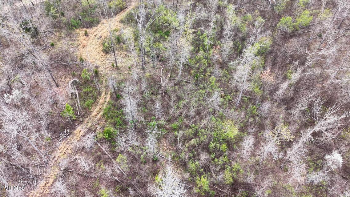 Photo #34: 14579 Crooked Creek Road