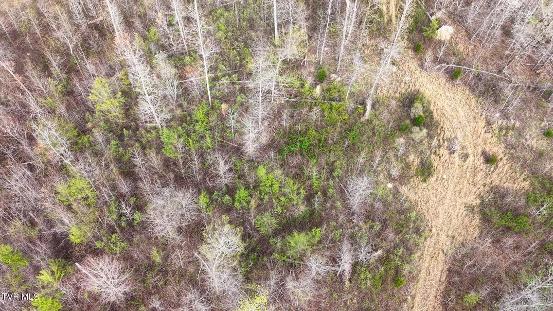 Photo #35: 14579 Crooked Creek Road