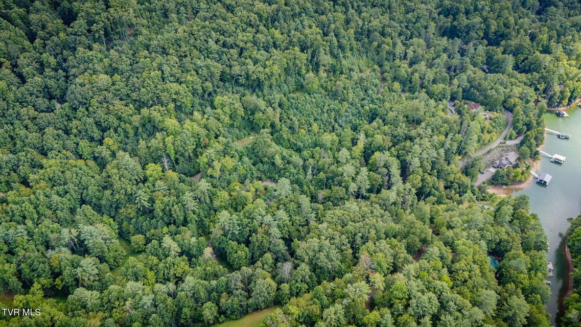 Photo #4: Tbd Cove Ridge Road